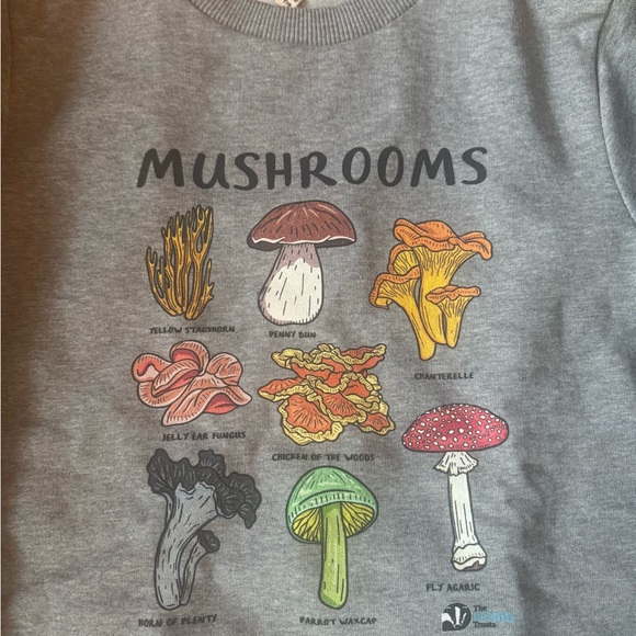 Organic Cotton Mushroom Sweatshirt – Kids 9/10 – NWOT - Picture 2 of 7